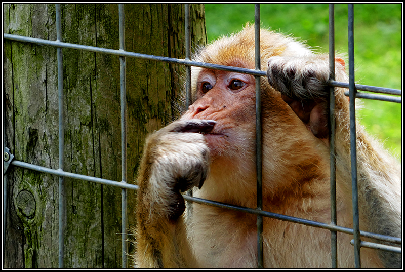 Foto des Monats